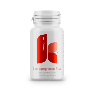Kompava Serrapeptase Plus  250 000 SPU / 90kps