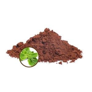HORÚCA ČOKOLÁDA V PRÁŠKU 42% BIO - MINT, 250g