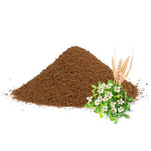 Čakanková káva so špaldou a brahmi, 100g