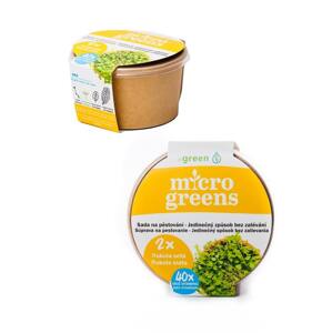 Microgreens Rukola siata - sada na pestovanie