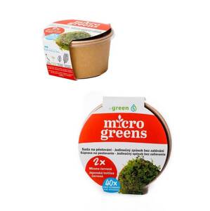 Microgreens Japonská horčica červená - sada na pestovanie
