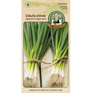 Semenárstvo Cibuľa zimná na zväzkovanie 3g
