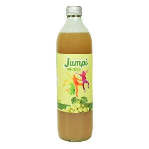 Valach Hrozno 100% ovocná šťava 500ml