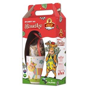 Agrokarpaty Bylinky na BRUŠKO darčekové balenie + čajítko 80g
