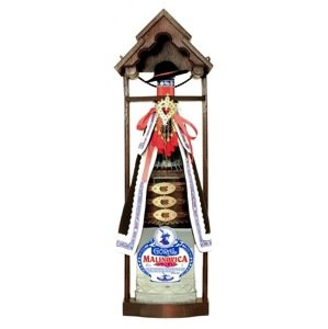 Goral malinovica 42% 3L