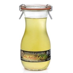 Via Delicia Smrekové výhonky sirup 265ml
