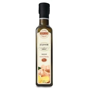 Topvet Green Idea Zázvor trstinový sirup 250ml