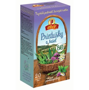 Agrokarpaty Priedušky a kašeľ BIO 20x2g