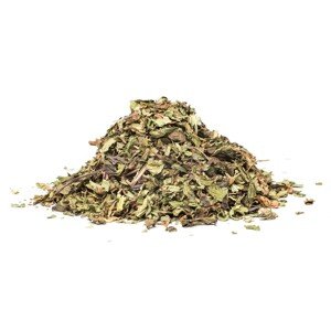 NANA MÄTA (Mentha spicata), 10g
