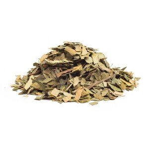 GINKGO LISTY - bylina, 10g
