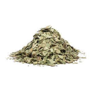 BREZA LIST - bylina, 10g