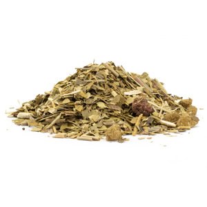 Yerba Mate Lesné ovocie, 100g